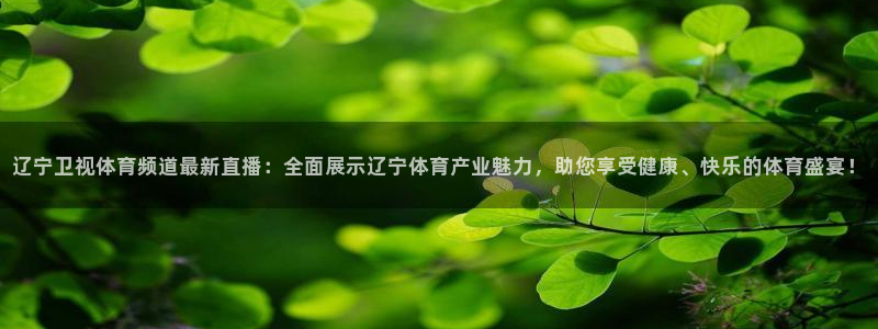 蜘蛛体育nba直播入口：辽宁卫视体育频道最新直播：全面展示辽宁体育产业魅力，助您享受健康、快乐的体育盛宴！
