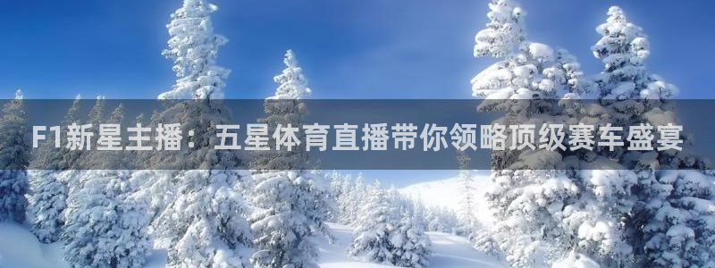 蜘蛛nba免费直播在线观看高清：F1新星主播：五星体育直播带你领略顶级赛车盛宴