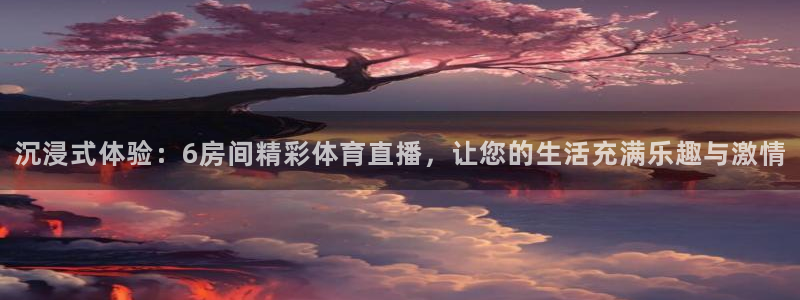 蜘蛛直播高清体育免费下载：沉浸式体验：6房间精彩体育直播，让您的生活充满乐趣与激情