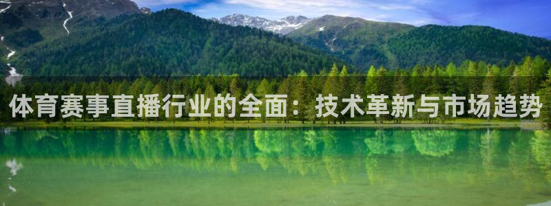 蜘蛛直播体育免费：体育赛事直播行业的全面：技术革新与市场趋势