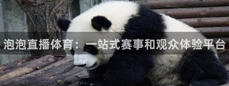 蜘蛛直播体育免费直播：泡泡直播体育：一站式赛事和观众体验平台