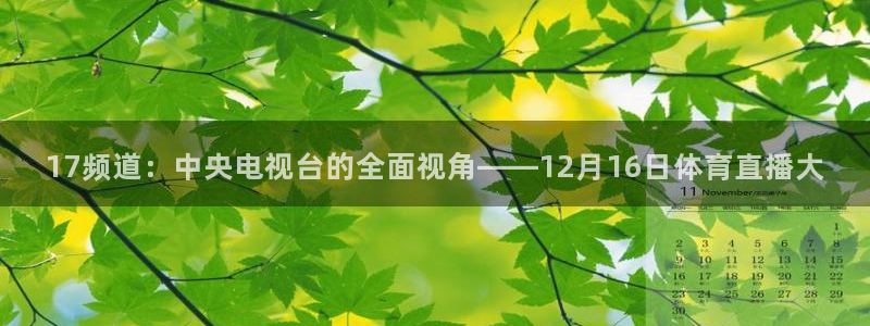 蜘蛛nba免费直播在线直播：17频道：中央电视台的全面视角——12月16日体育直播大