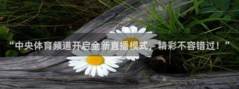 蜘蛛直播体育：“中央体育频道开启全新直播模式，精彩不容错过！”