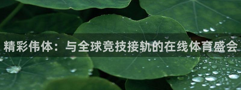 蜘蛛体育直播免费高清在线观看：精彩伟体：与全球竞技接轨的在线体育盛会