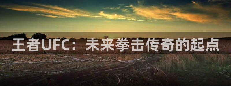 美女直播nba直播蜘蛛侠：王者UFC：未来拳击传奇的起点
