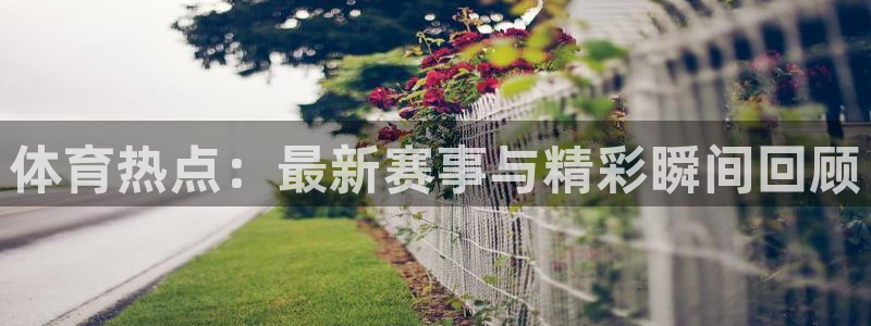 蜘蛛直播体育免费直播：体育热点：最新赛事与精彩瞬间回顾