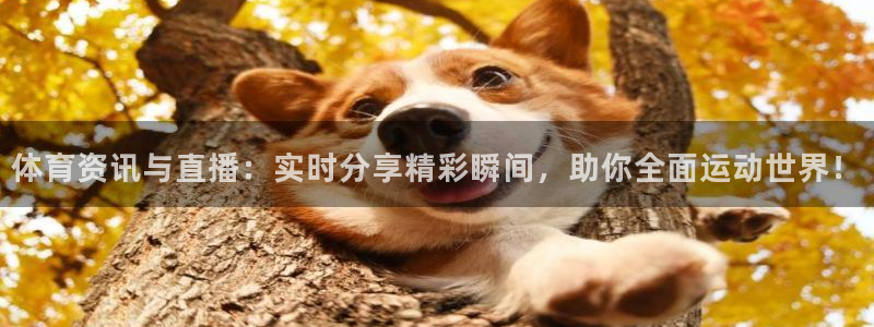 蜘蛛直播体育：体育资讯与直播：实时分享精彩瞬间，助你全面运动世界！
