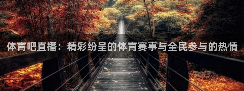 nba直播蜘蛛：体育吧直播：精彩纷呈的体育赛事与全民参与的热情