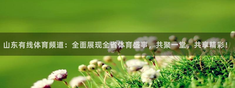 蜘蛛直播体育可可直播：山东有线体育频道：全面展现全省体育盛事，共聚一堂，共享精彩！
