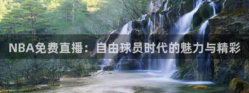 蜘蛛体育直播：NBA免费直播：自由球员时代的魅力与精彩