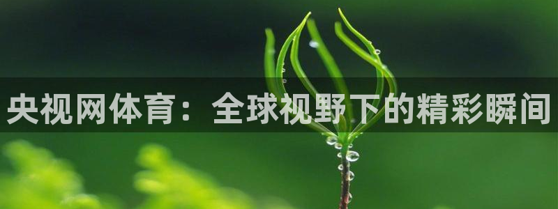 nba在线直播蜘蛛直播：央视网体育：全球视野下的精彩瞬间
