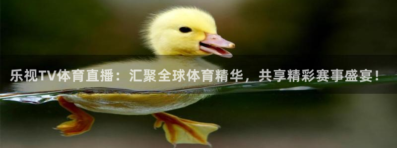 jrs直播nba(无插件)直播蜘蛛直播：乐视TV体育直播：汇聚全球体育精华，共享精彩赛事盛宴！