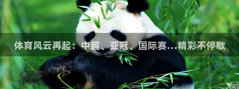 蜘蛛直播nba直播在线直播：体育风云再起：中超、亚冠、国际赛...精彩不停歇