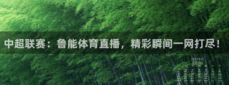 蜘蛛直播体育免费直播：中超联赛：鲁能体育直播，精彩瞬间一网打尽！