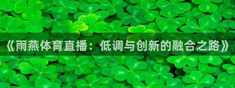 蜘蛛nba直播：《雨燕体育直播：低调与创新的融合之路》
